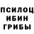 Галлюциногенные грибы Psilocybe Wiaczeslaw Viaceslav